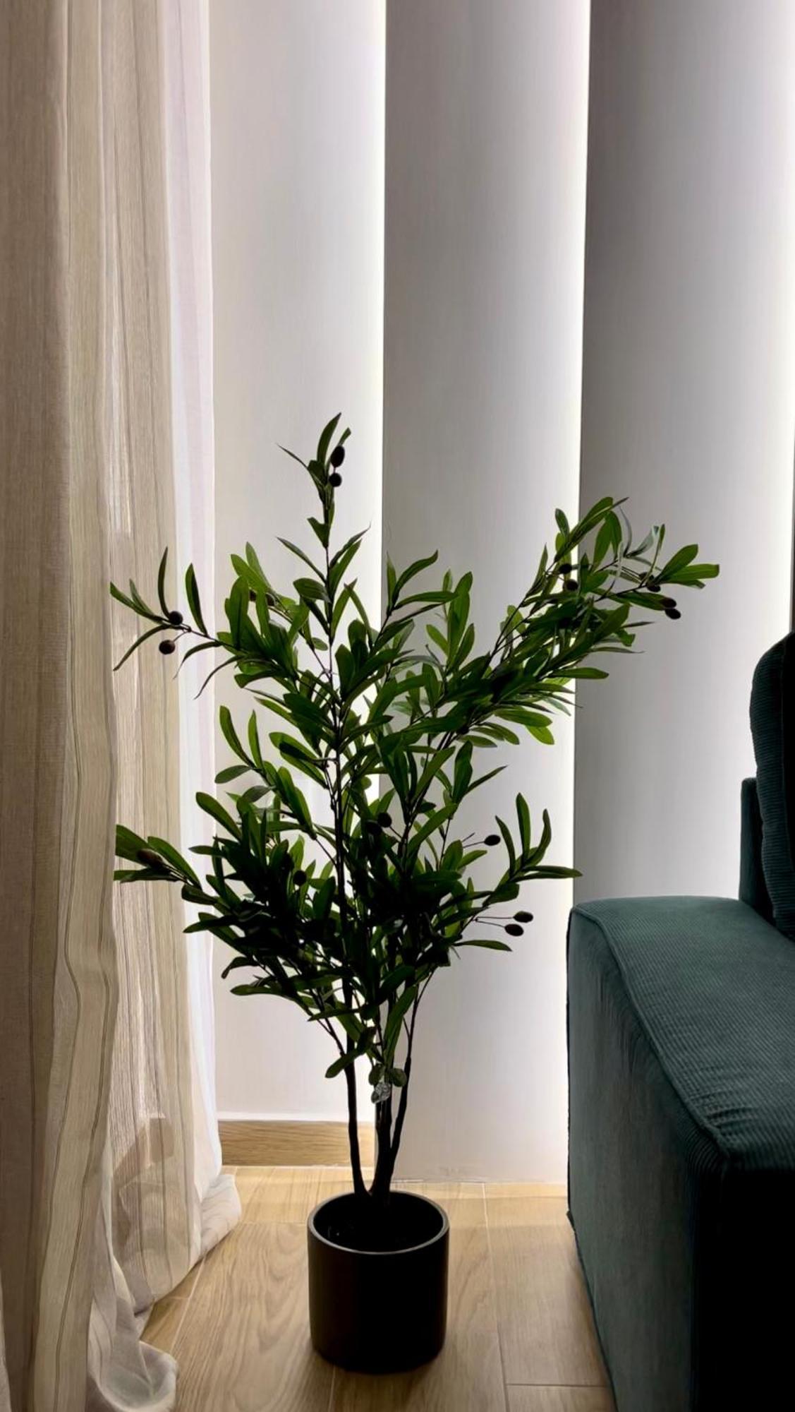 Emerald Luxury Apartments - Ath Airport Spáta Екстериор снимка